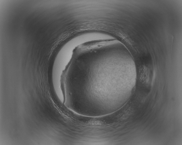 X0000058760685200510031019