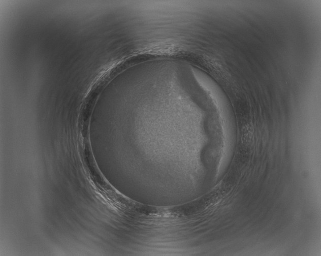X0000058760688200510031019
