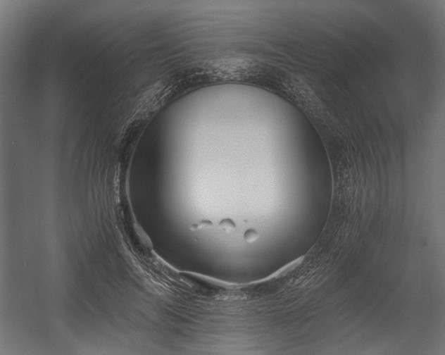 X0000058760694200510031019