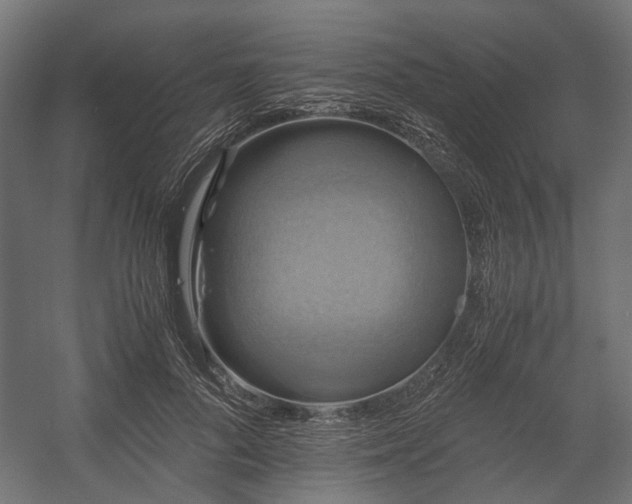 X0000058760696200510031019