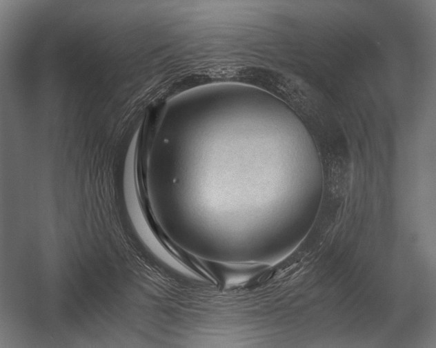 X0000058760697200510031019