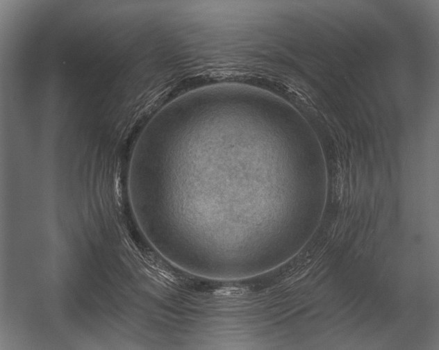 X0000058760700200510031019
