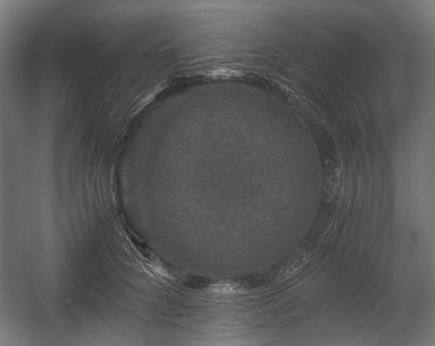X0000058760704200510031019