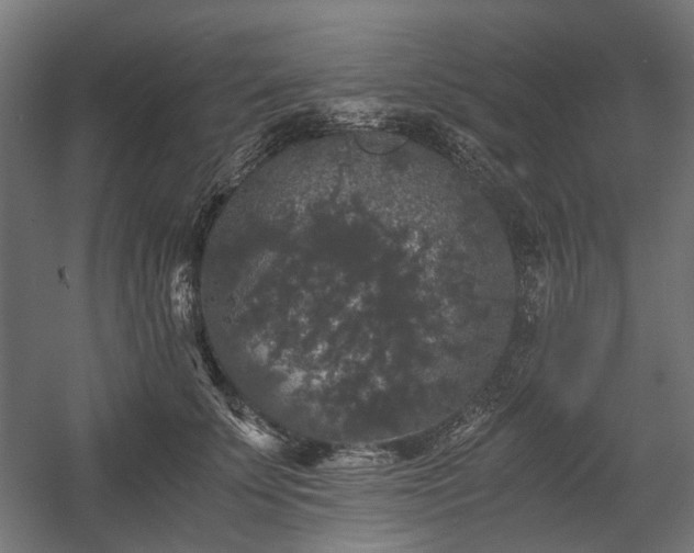 X0000058760707200510031019