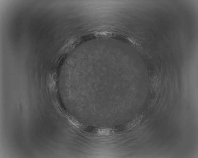 X0000058760709200510031019