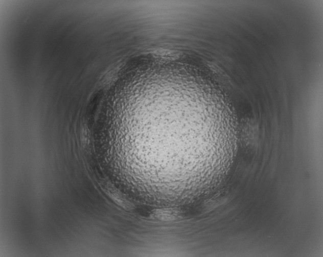X0000058760713200510031019
