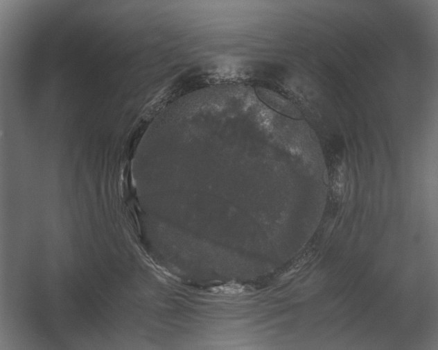 X0000058760715200510031019