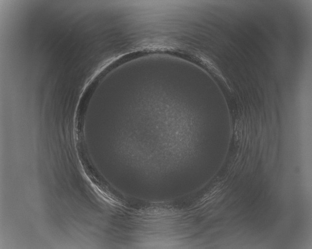 X0000058760722200510031018