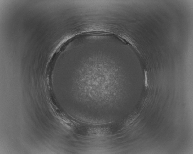 X0000058760723200510031018