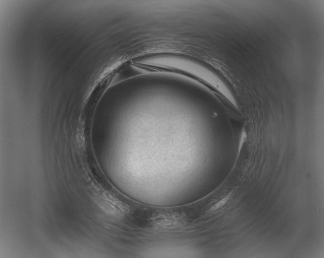 X0000058760727200510031018