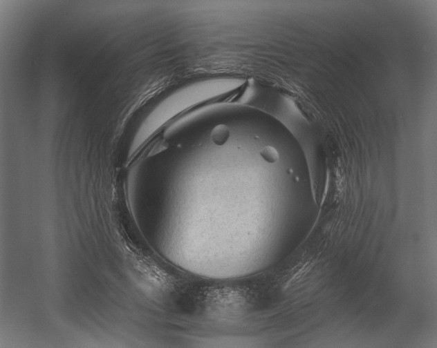 X0000058760735200510031018