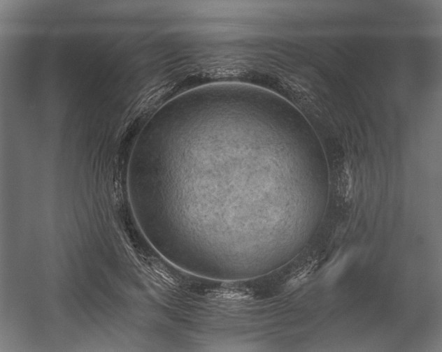 X0000058760743200510031018