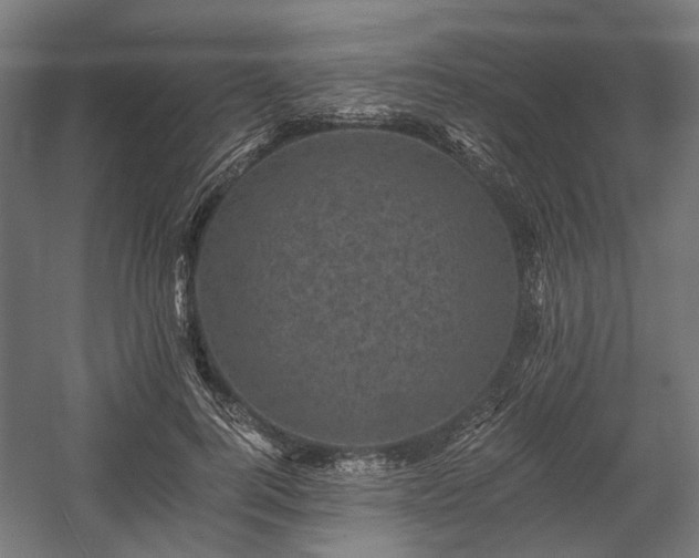 X0000058760744200510031018