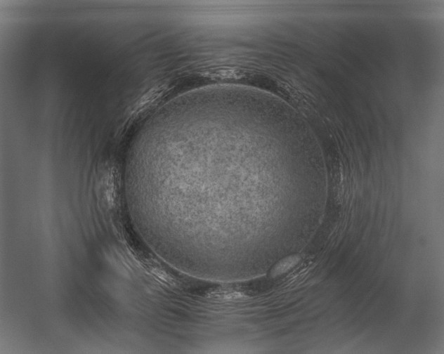 X0000058760747200510031018