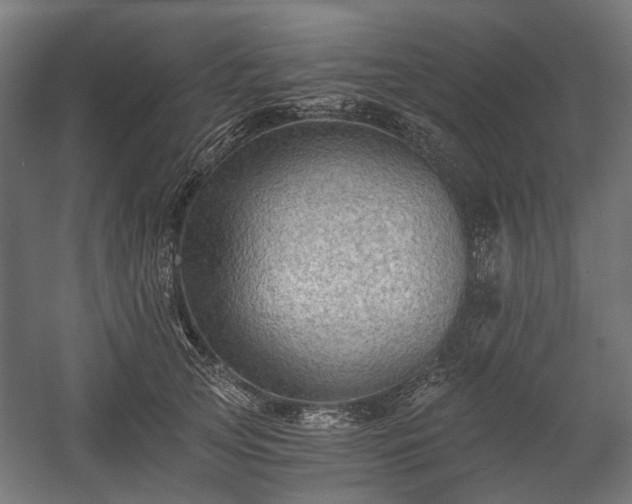 X0000058760753200510031018