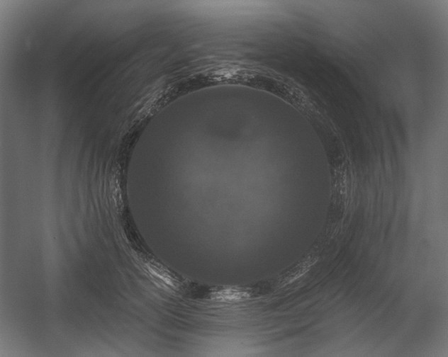 X0000058760754200510031018
