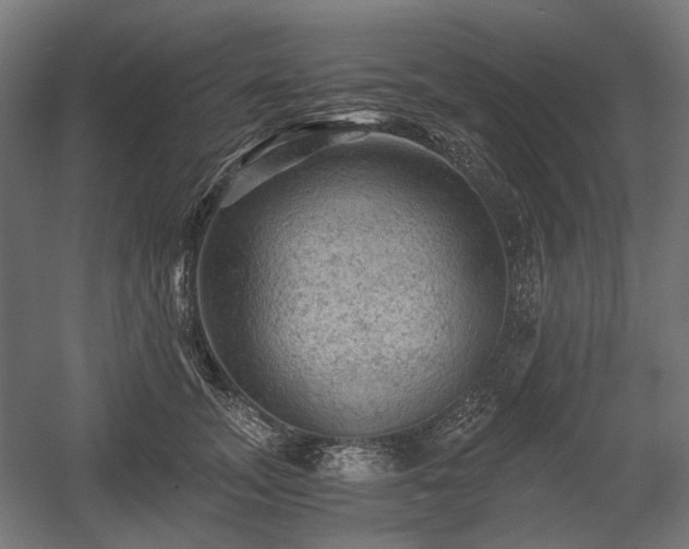 X0000058760755200510031018