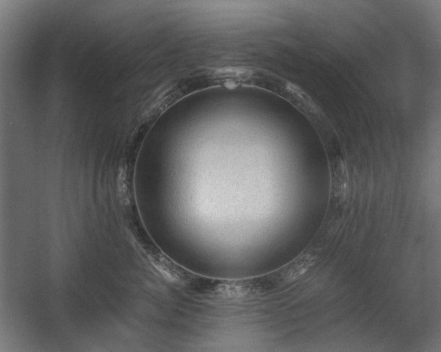 X0000058760764200510031019