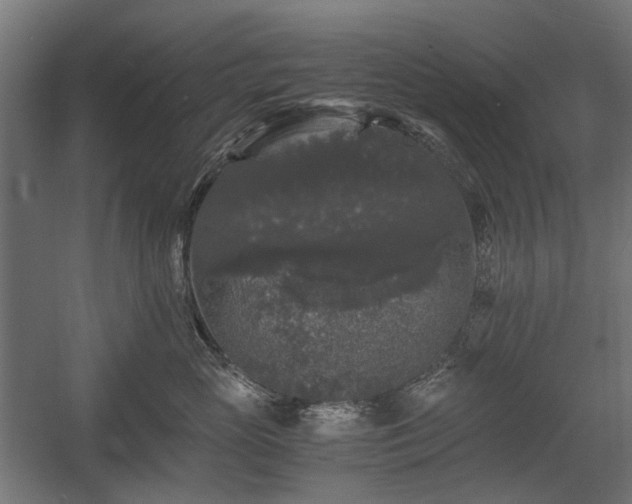 X0000058760765200510031019