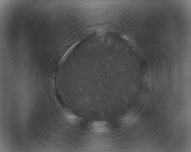 X0000058760767200510031019