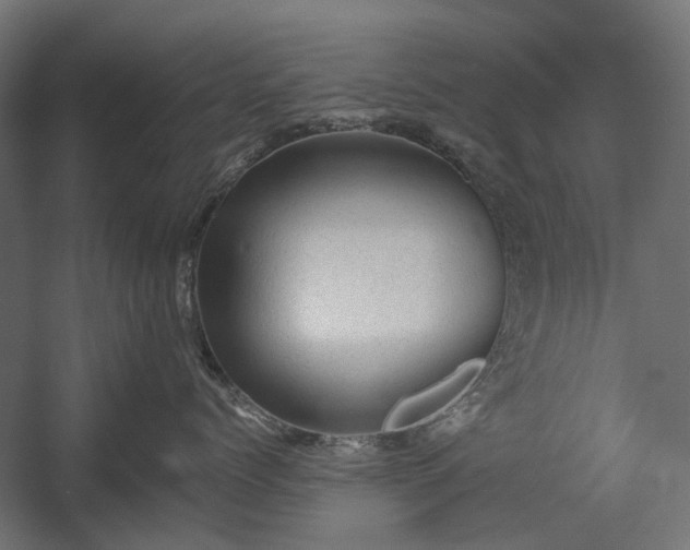 X0000058760768200510031019