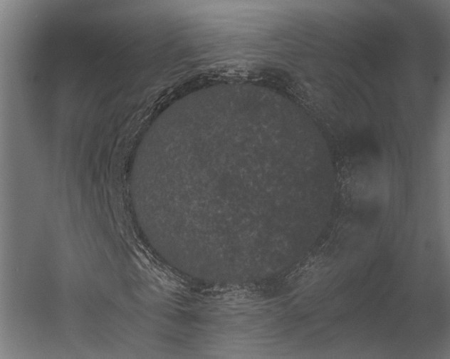 X0000058760769200510031018