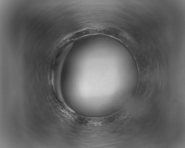 X0000058760773200510031018