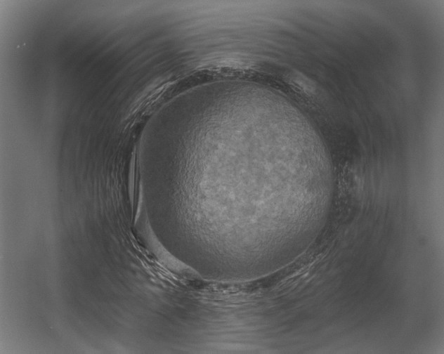 X0000058760774200510031018