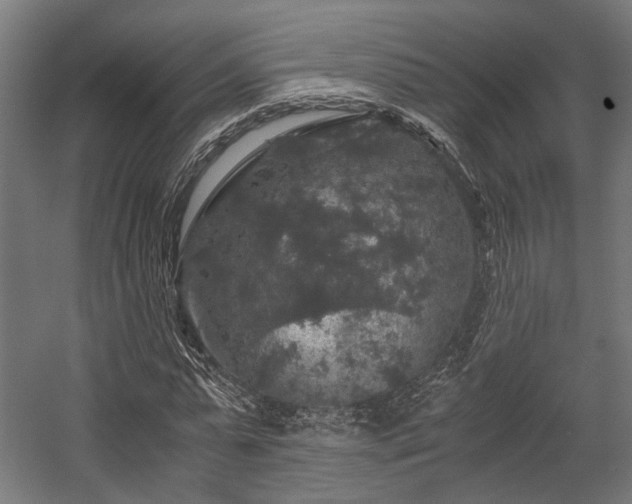 X0000058760775200510031018