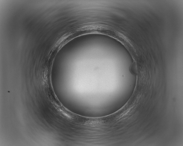 X0000058760778200510031018