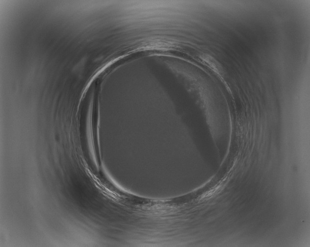 X0000058760779200510031018