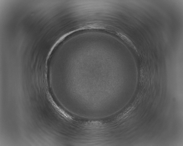 X0000058760784200510031018