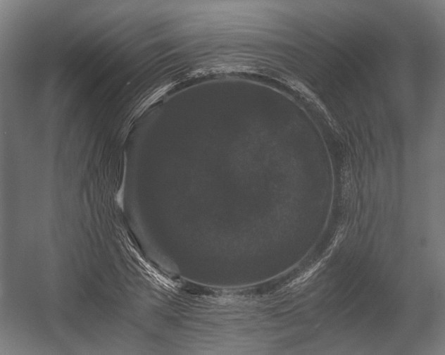 X0000058760785200510031018