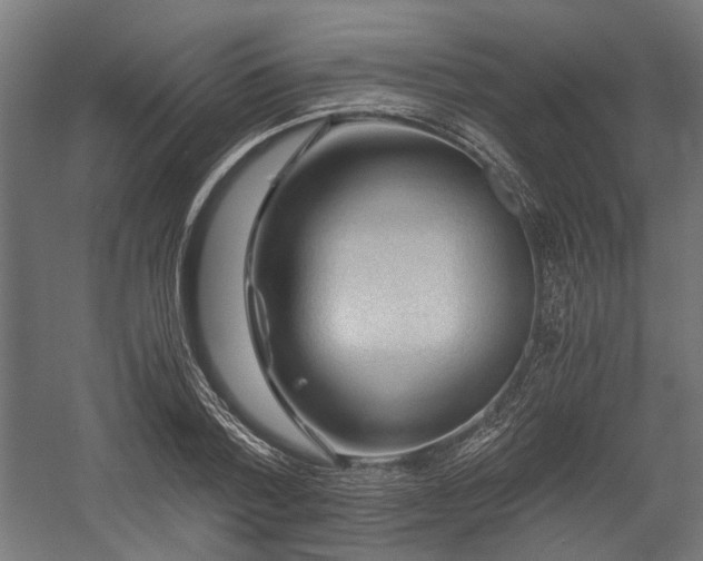 X0000058760788200510031017