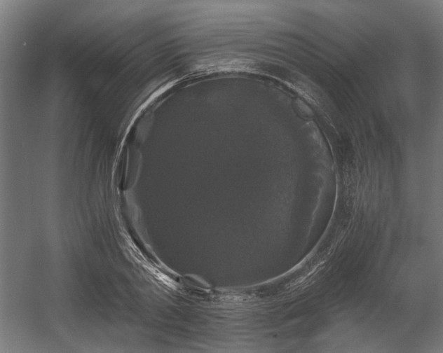 X0000058760790200510031017