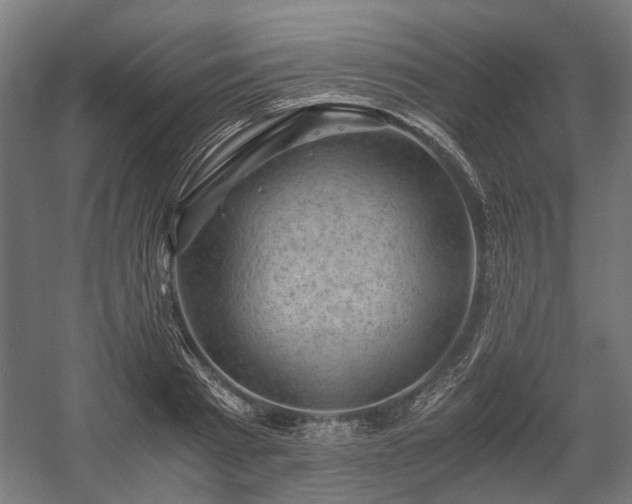 X0000058760793200510031017