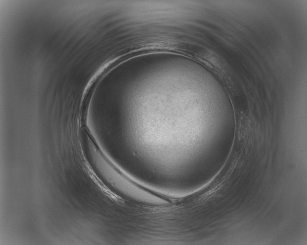 X0000058760796200510031017