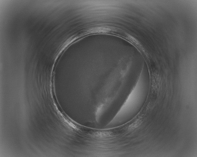 X0000058760802200510031017
