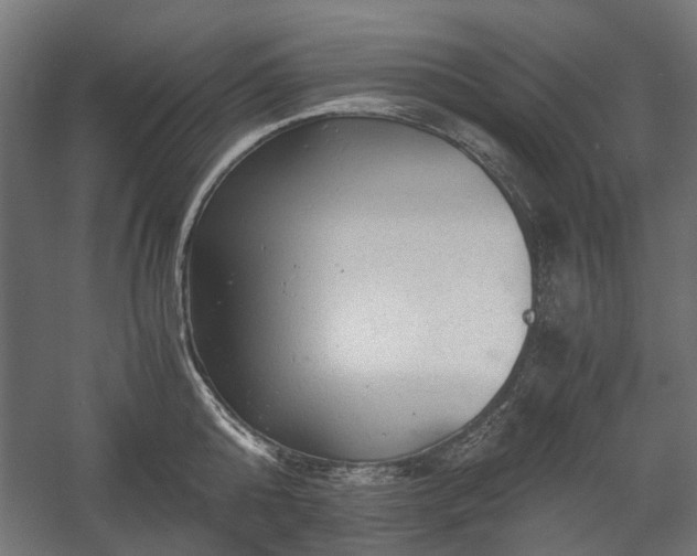 X0000058760808200510031017
