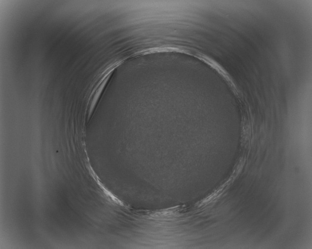 X0000058760809200510031017