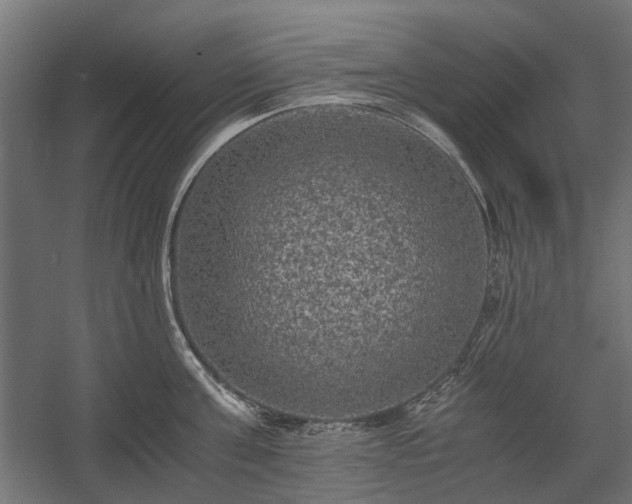X0000058760811200510031017
