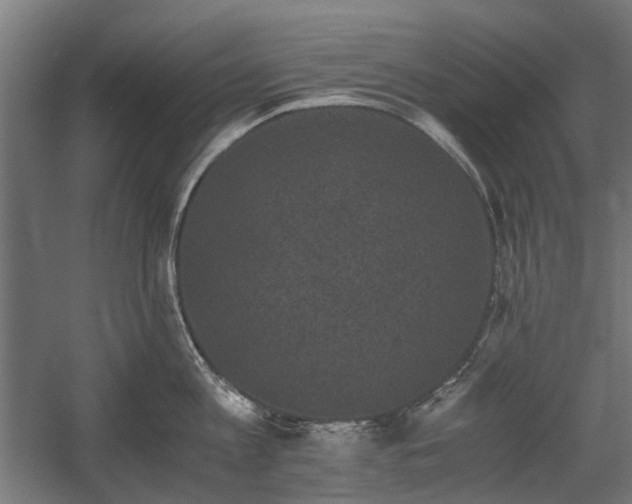 X0000058760813200510031017