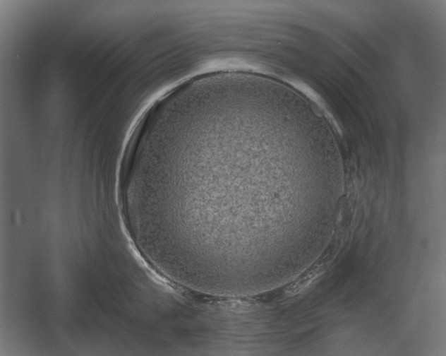 X0000058760815200510031017