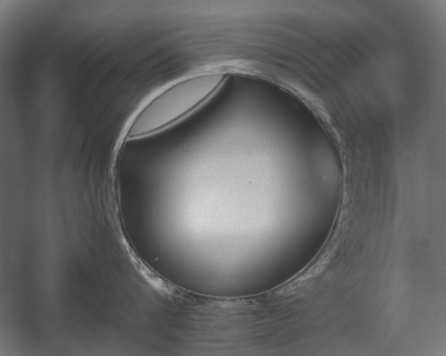 X0000058760816200510031017