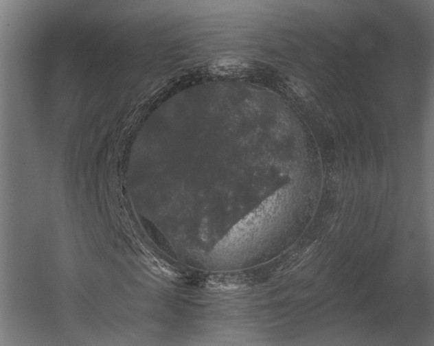 X0000058760817200510031016