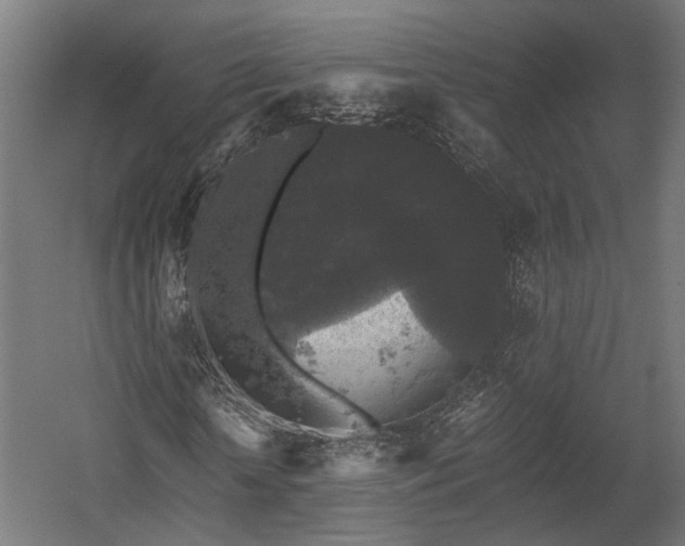 X0000058760818200510031016