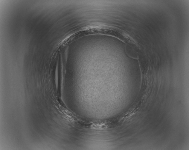 X0000058760822200510031016