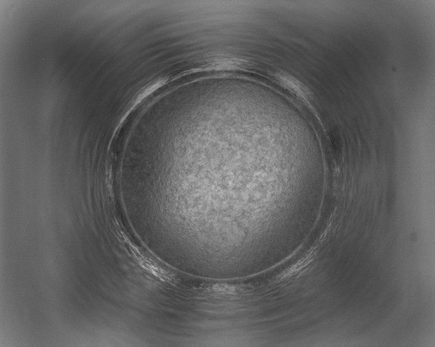X0000058760827200510031016