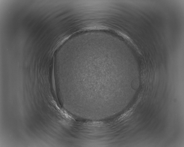 X0000058760833200510031016