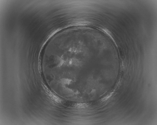 X0000058760835200510031016